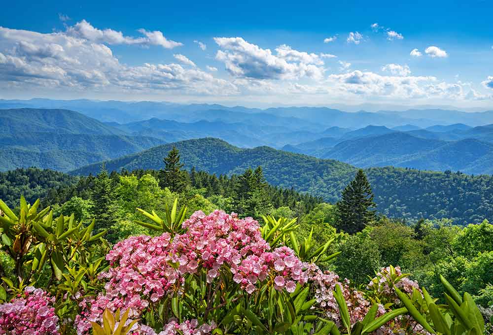 Visit the Blue Ridge Mountains for a change of pace during your Asheville Bachelorette party.