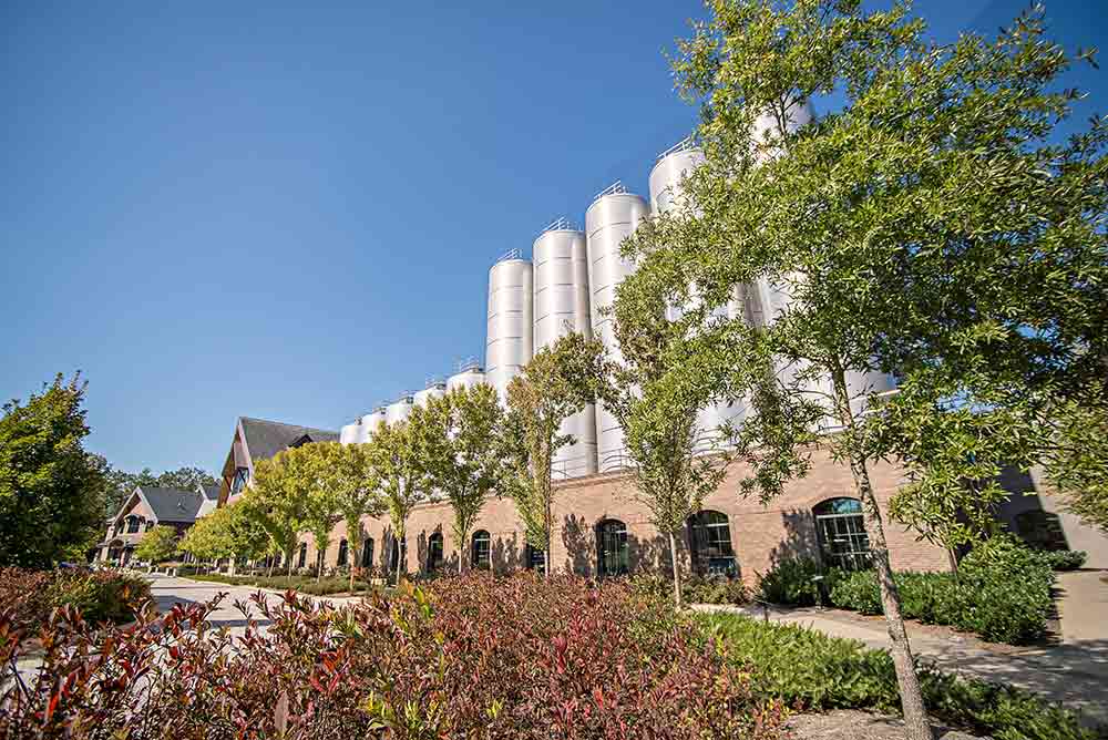 Sierra Nevada Asheville