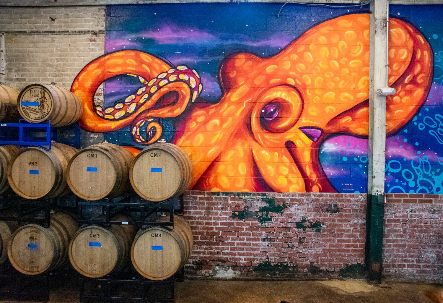 Octopus mural on Mobtown Brewing Company's wall