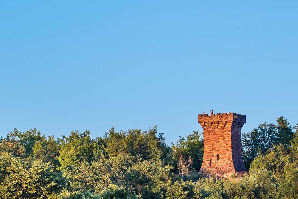 What to Do in Burlington VT - Ethan Allen Park