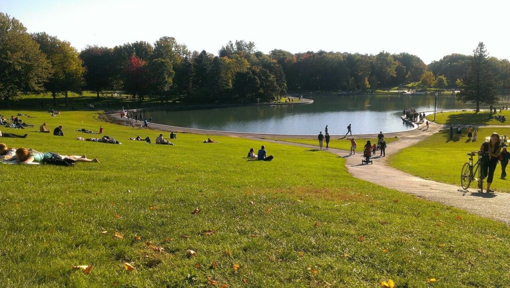 A relaxing afternoon at Parc La Fontaine, Montreal, with people lounging on the grass and walking along the scenic path beside a large pond. The park is lush with green trees and the early signs of autumn color, making it a popular spot for both locals and tourists to unwind and enjoy nature within the city.
