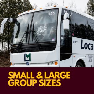 Small and large group sizes
