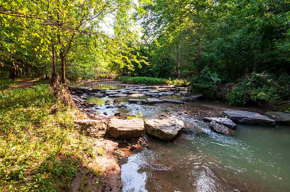 Frick Park - What to Do in Pittsburgh